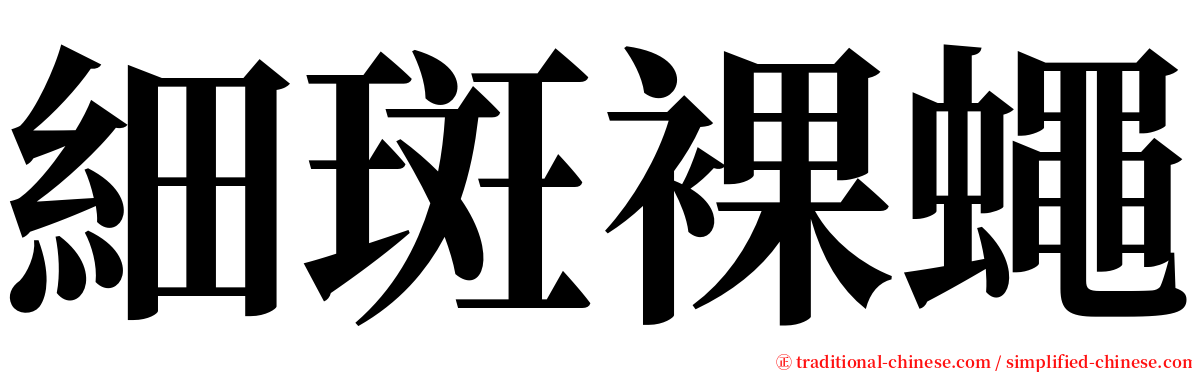 細斑裸蠅 serif font