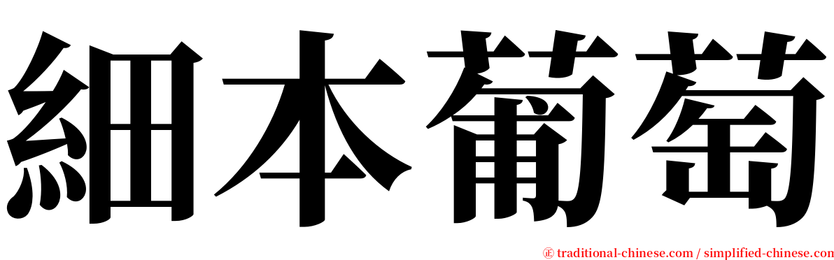 細本葡萄 serif font