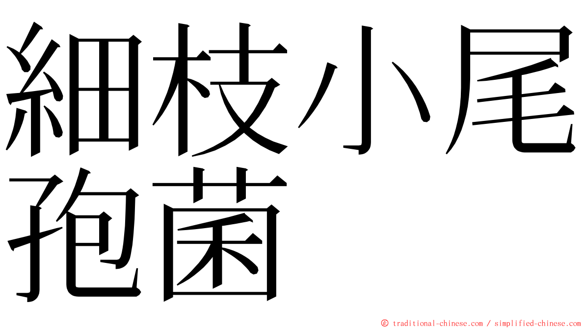 細枝小尾孢菌 ming font