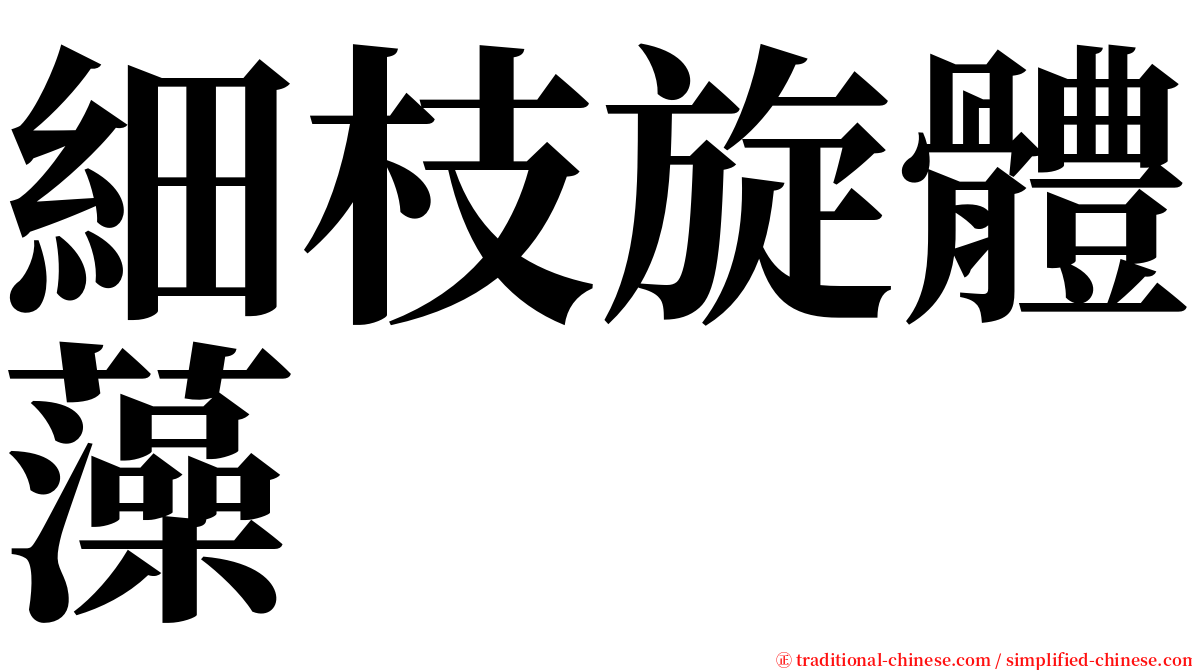 細枝旋體藻 serif font