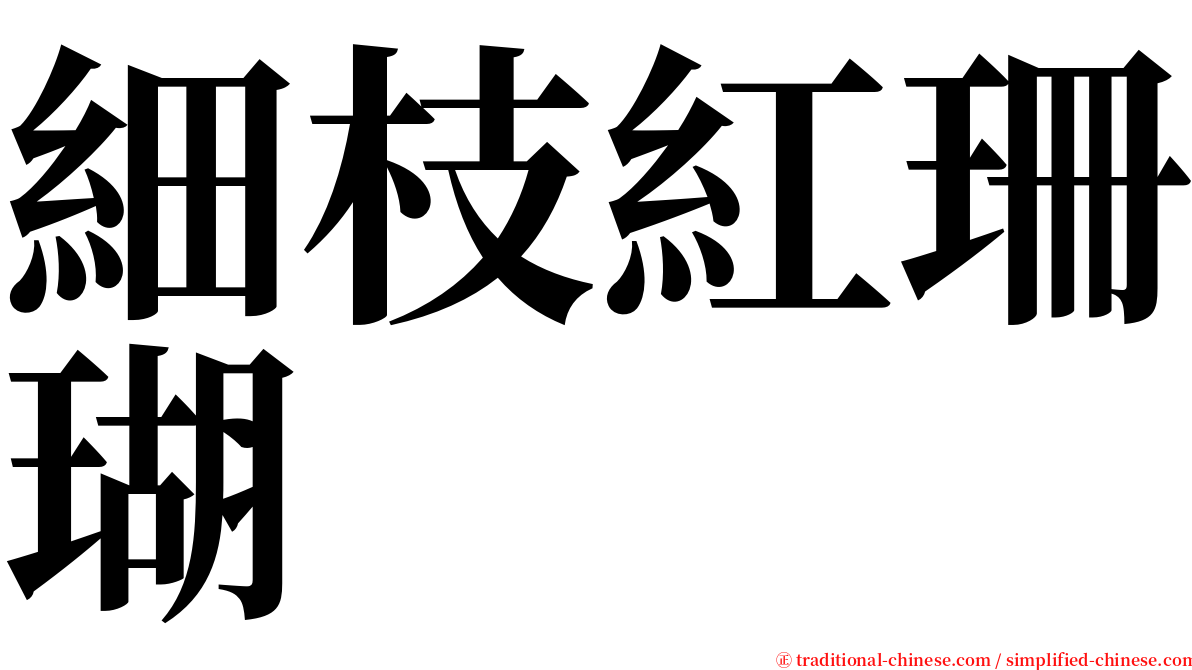 細枝紅珊瑚 serif font