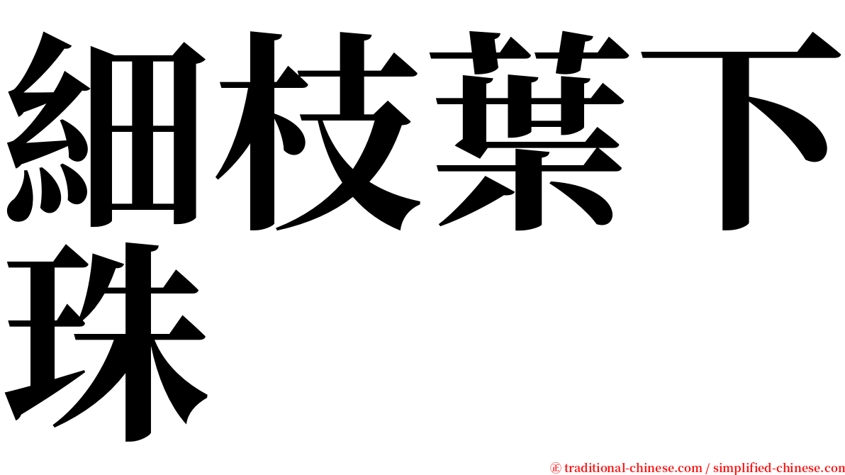 細枝葉下珠 serif font