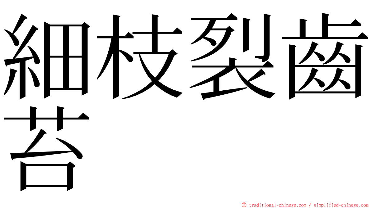細枝裂齒苔 ming font