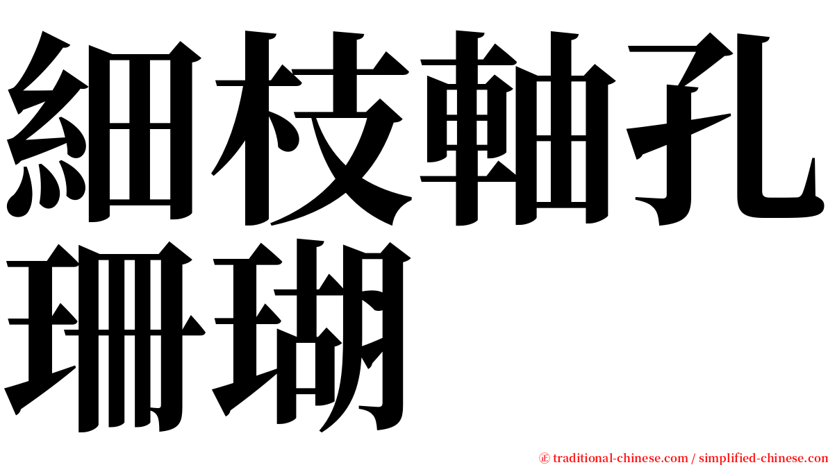 細枝軸孔珊瑚 serif font