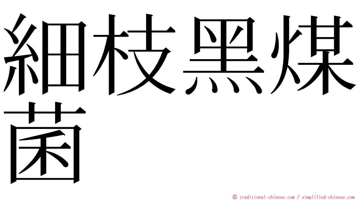 細枝黑煤菌 ming font