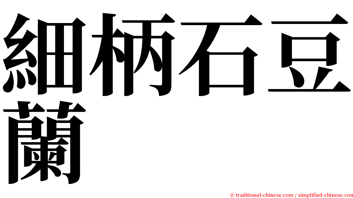 細柄石豆蘭 serif font