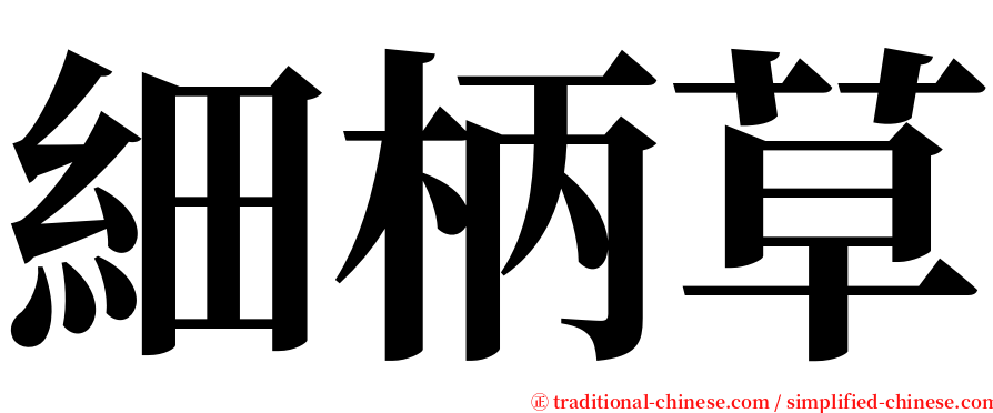 細柄草 serif font