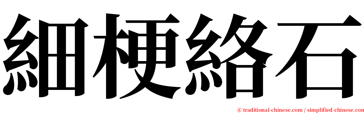 細梗絡石 serif font