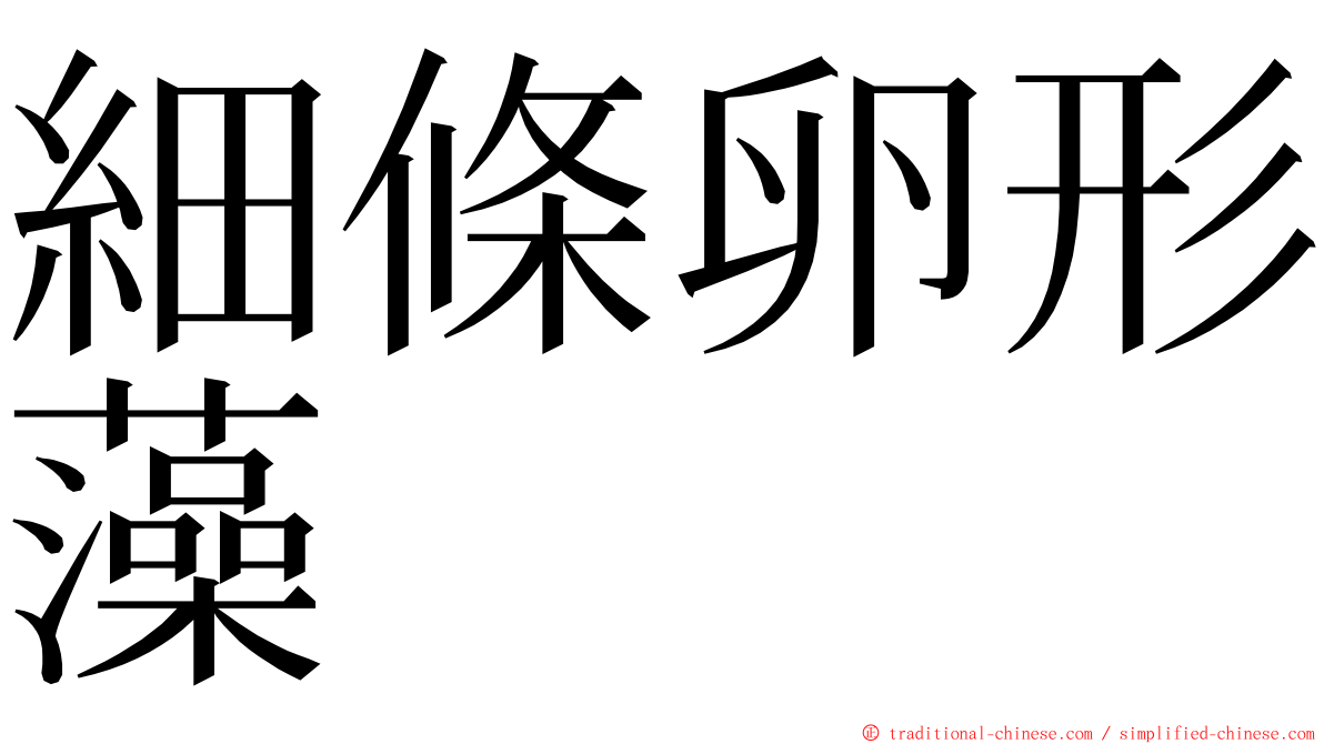 細條卵形藻 ming font