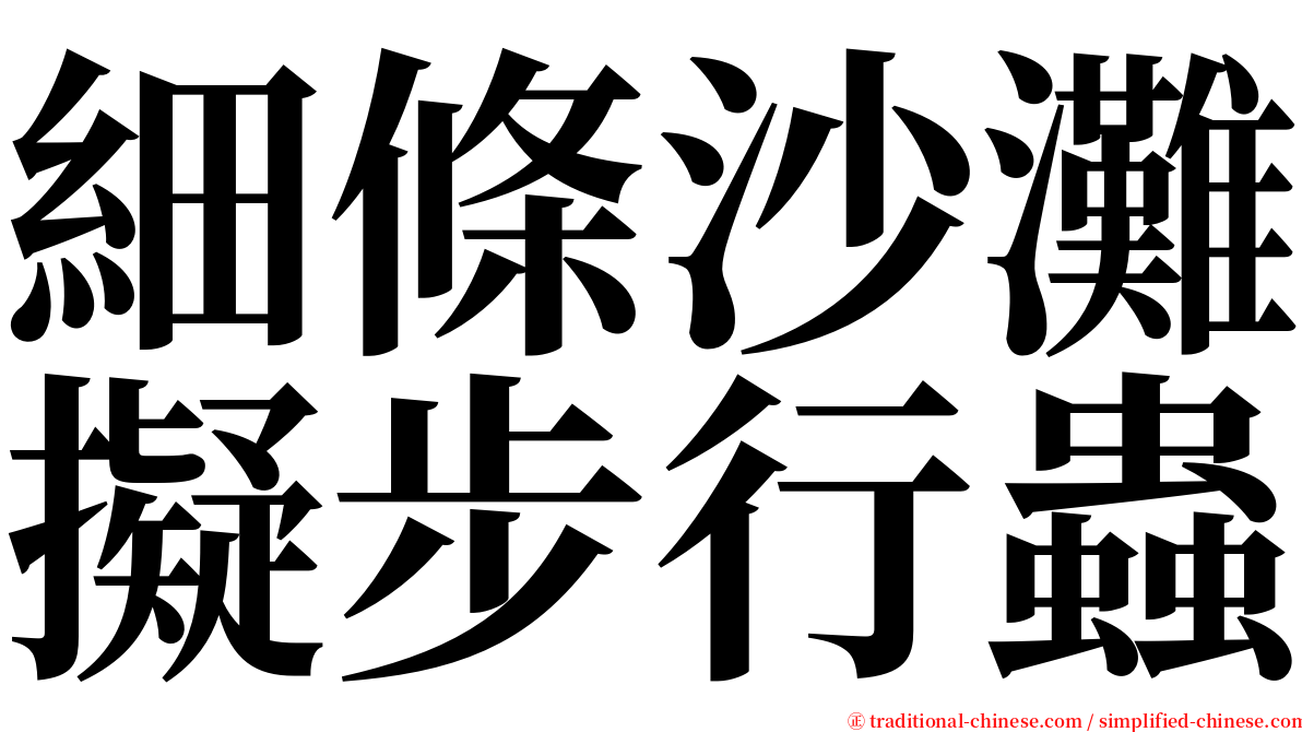 細條沙灘擬步行蟲 serif font