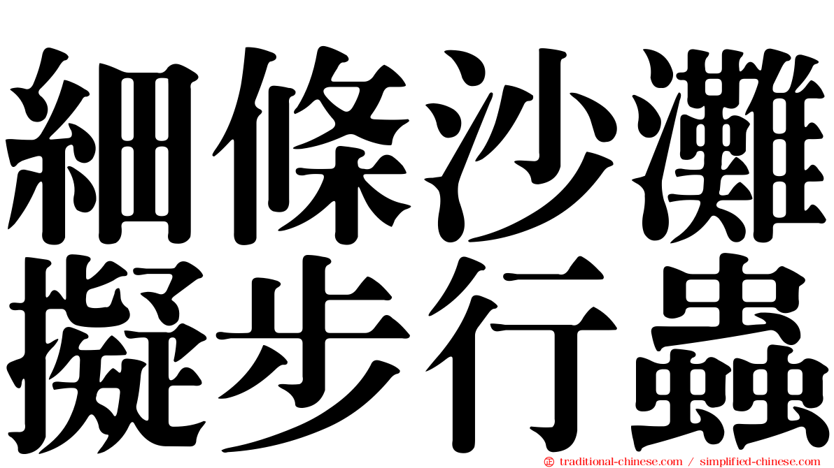 細條沙灘擬步行蟲