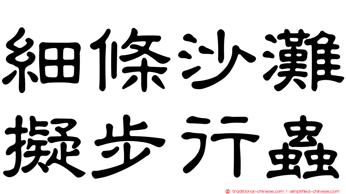 細條沙灘擬步行蟲