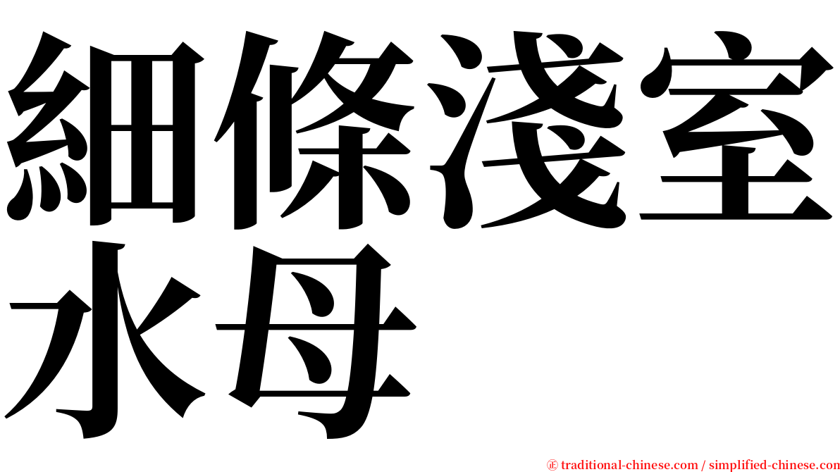 細條淺室水母 serif font