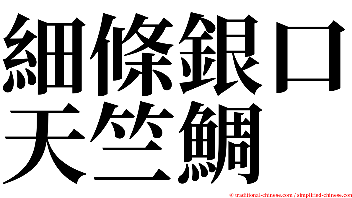 細條銀口天竺鯛 serif font