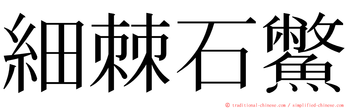 細棘石鱉 ming font