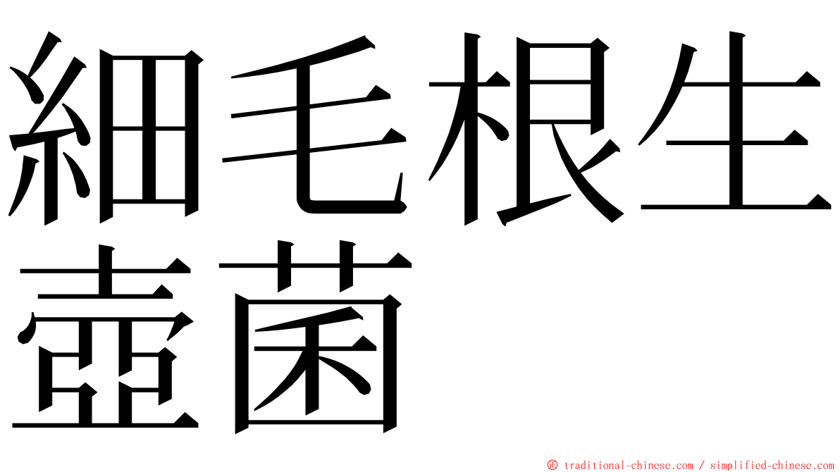 細毛根生壺菌 ming font