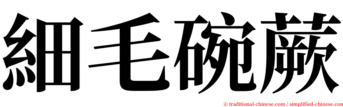 細毛碗蕨 serif font