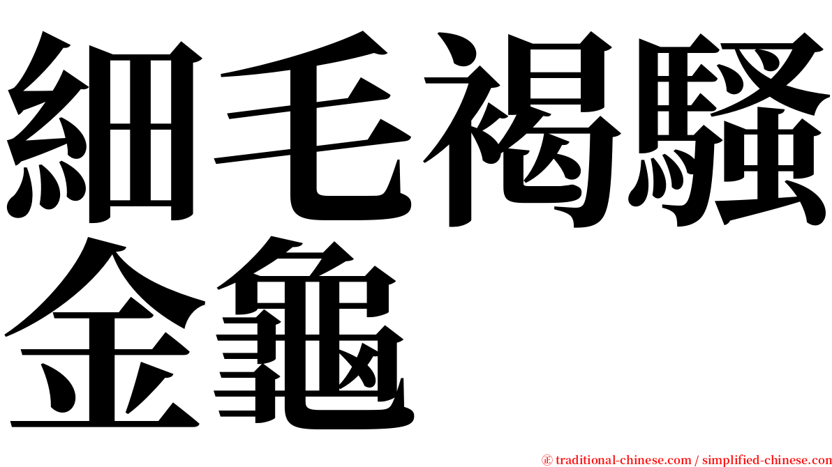 細毛褐騷金龜 serif font