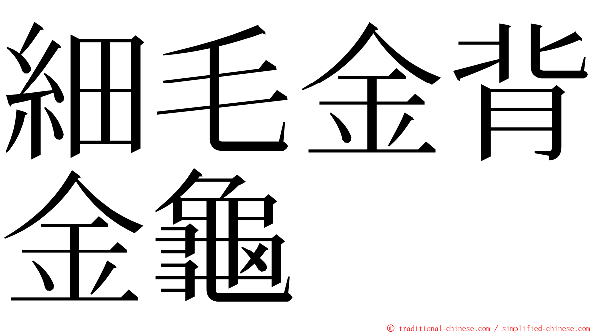 細毛金背金龜 ming font