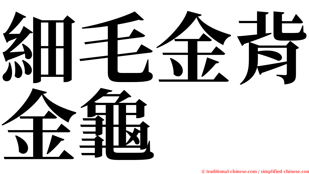 細毛金背金龜 serif font