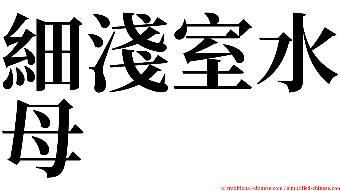 細淺室水母 serif font