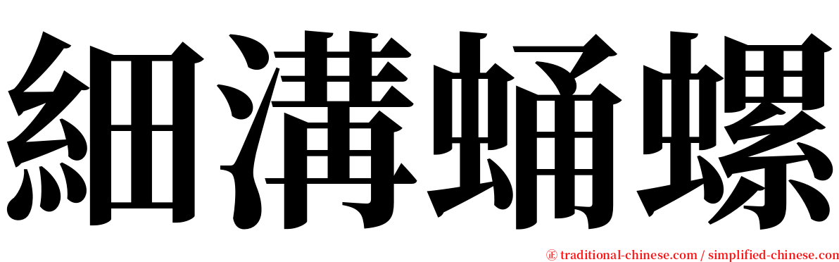 細溝蛹螺 serif font