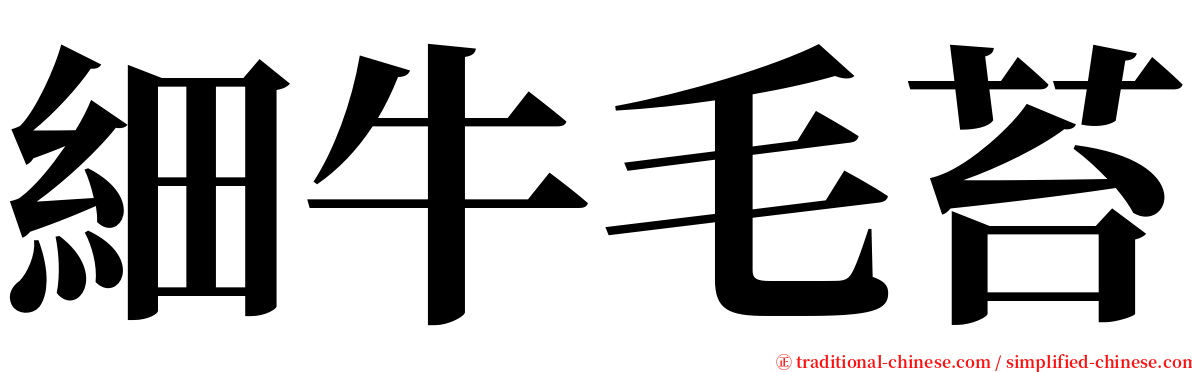 細牛毛苔 serif font