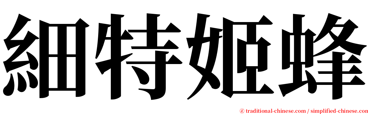 細特姬蜂 serif font