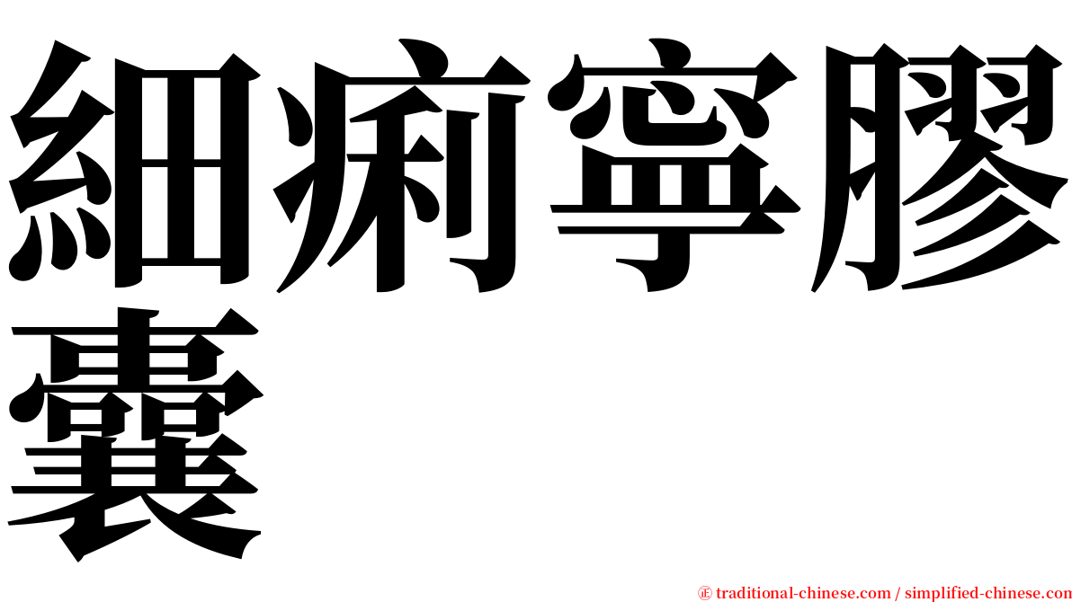 細痢寧膠囊 serif font