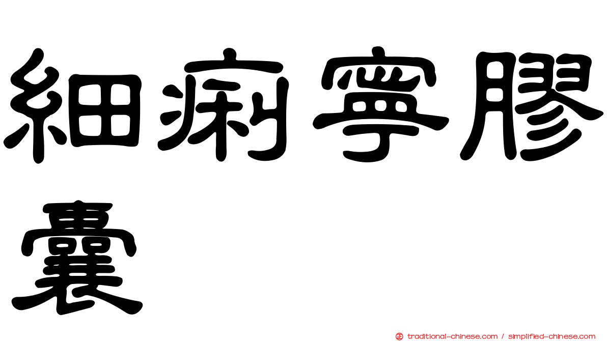 細痢寧膠囊