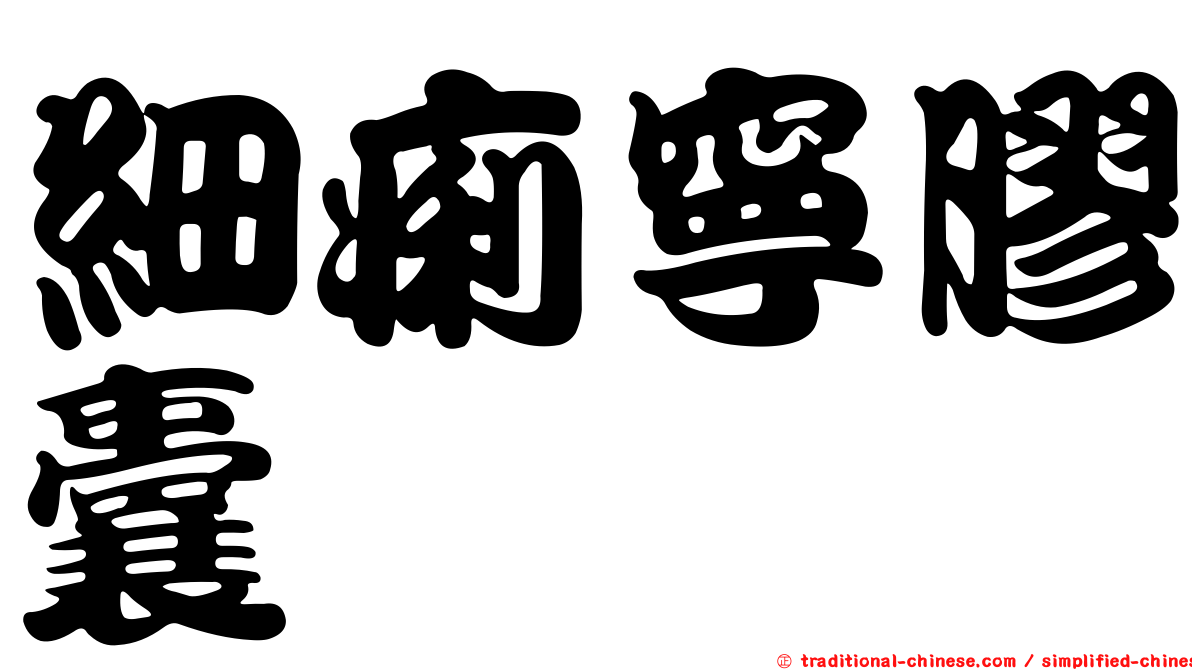 細痢寧膠囊