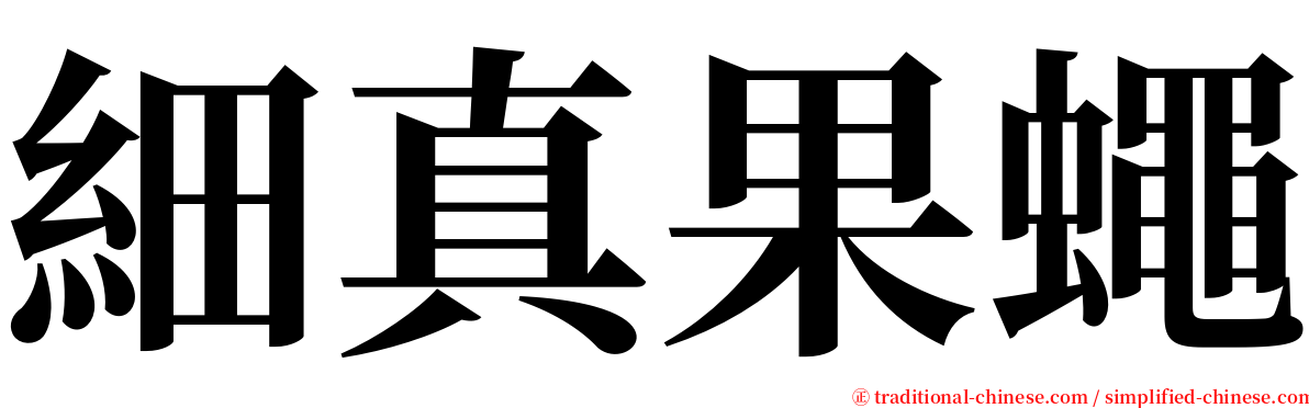 細真果蠅 serif font