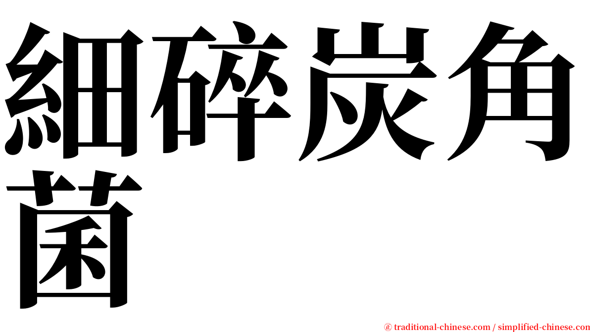 細碎炭角菌 serif font