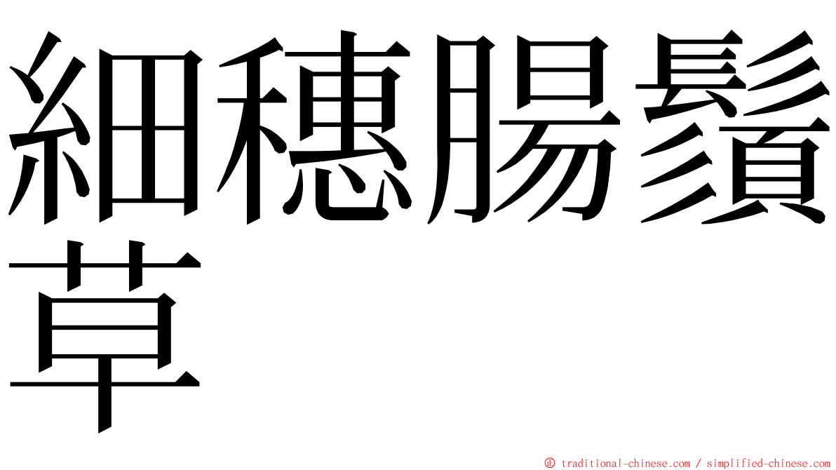 細穗腸鬚草 ming font