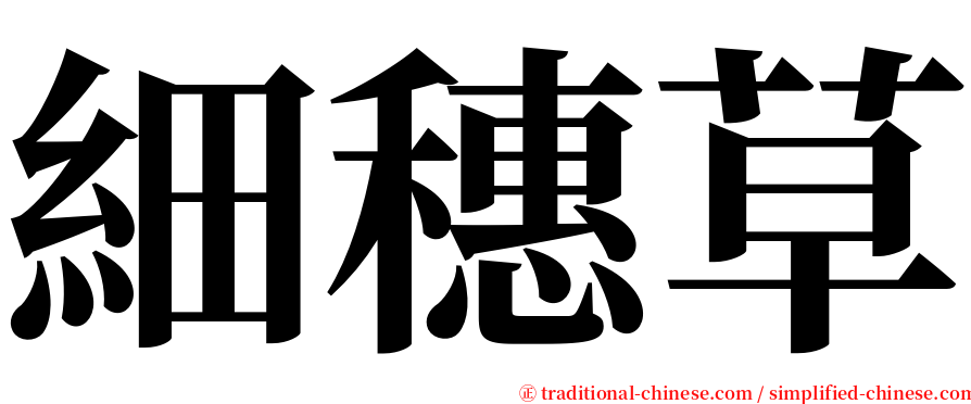 細穗草 serif font