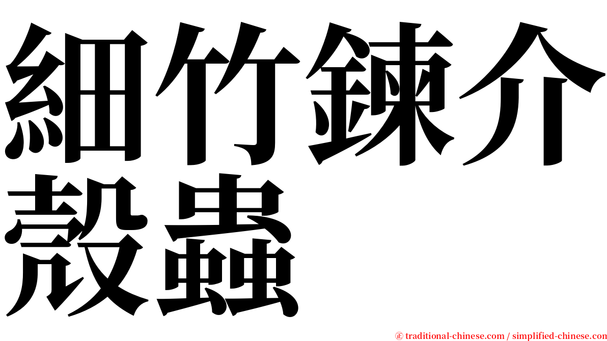 細竹鍊介殼蟲 serif font