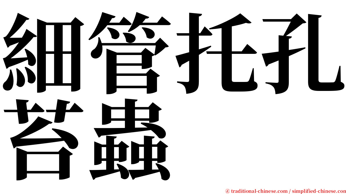 細管托孔苔蟲 serif font