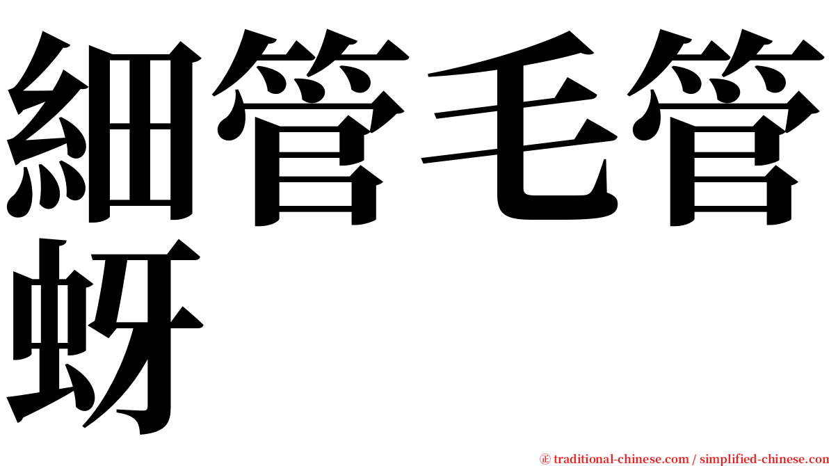 細管毛管蚜 serif font