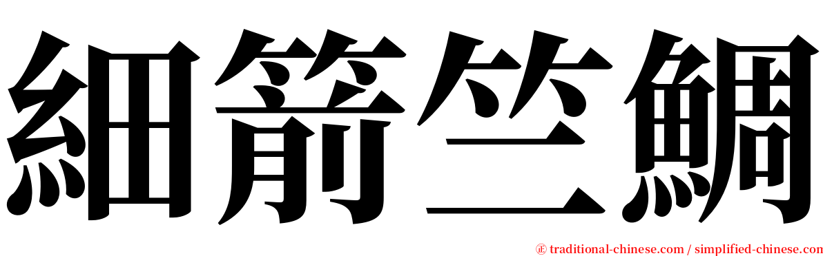 細箭竺鯛 serif font