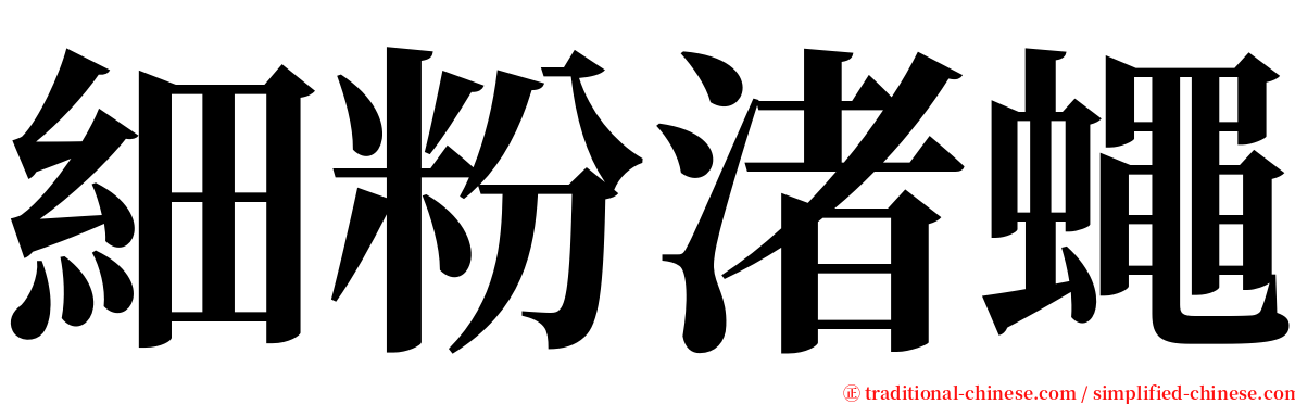 細粉渚蠅 serif font