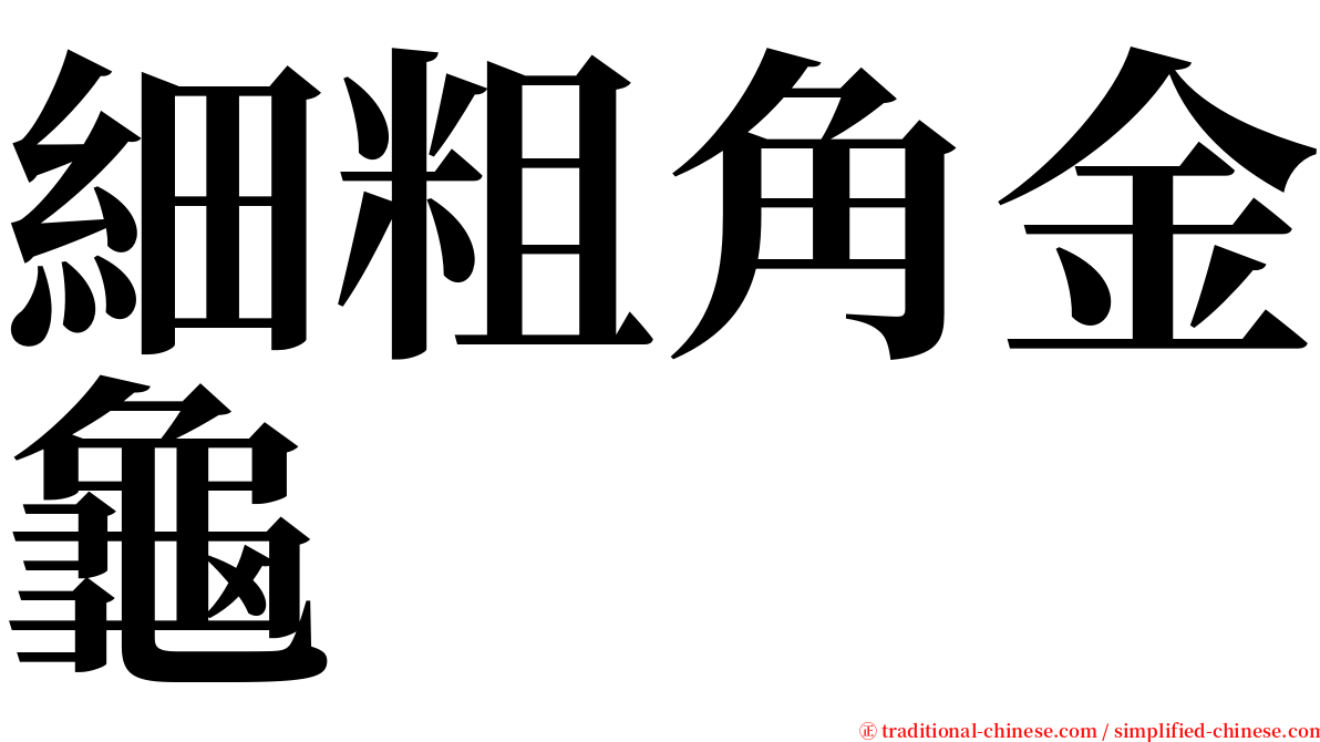 細粗角金龜 serif font