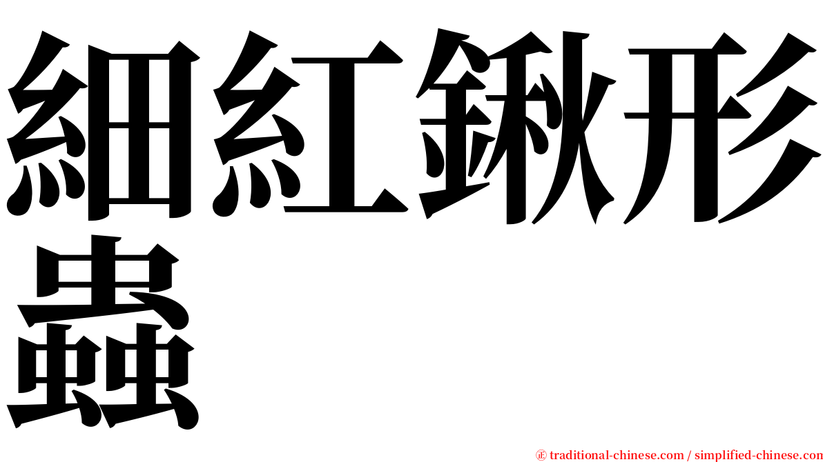 細紅鍬形蟲 serif font