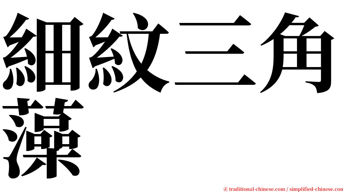 細紋三角藻 serif font