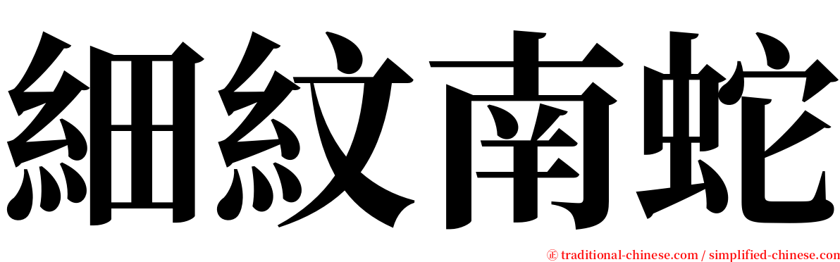 細紋南蛇 serif font