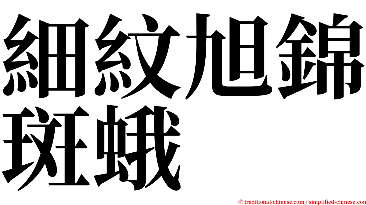 細紋旭錦斑蛾 serif font