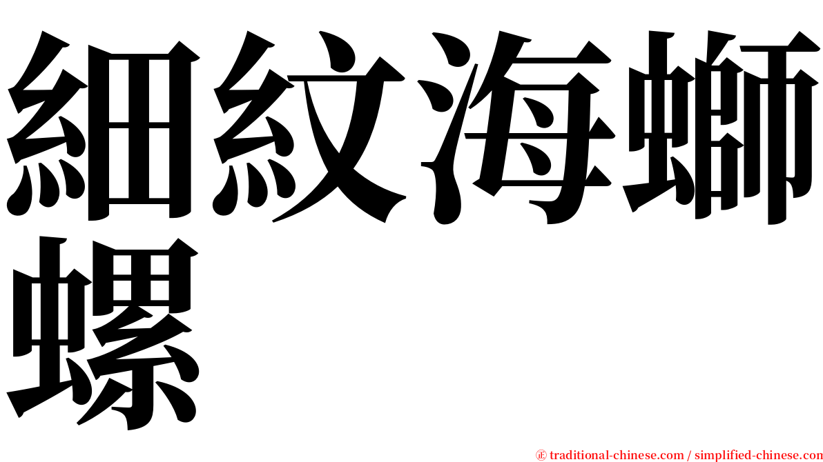 細紋海螄螺 serif font