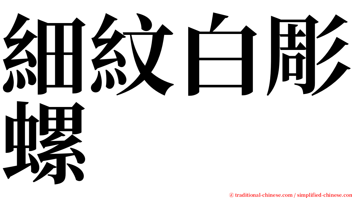 細紋白彫螺 serif font