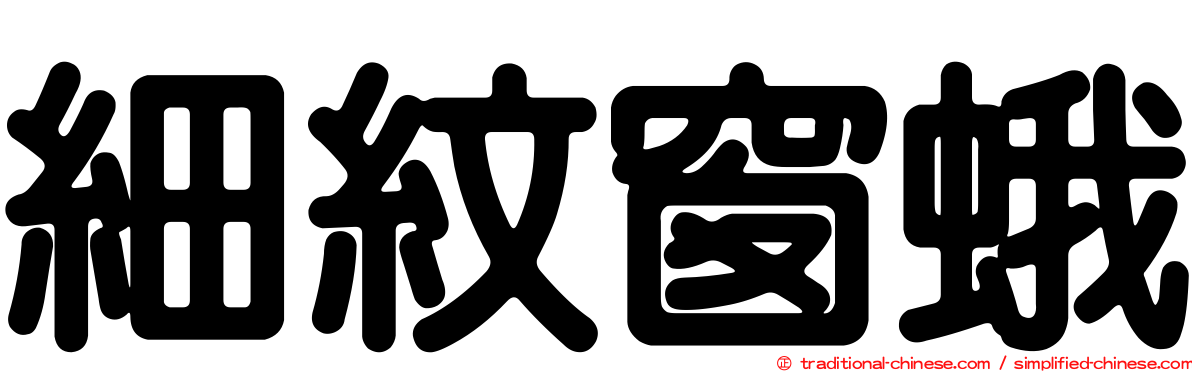 細紋窗蛾