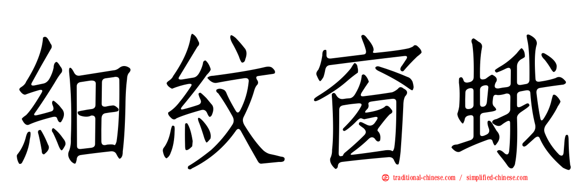 細紋窗蛾