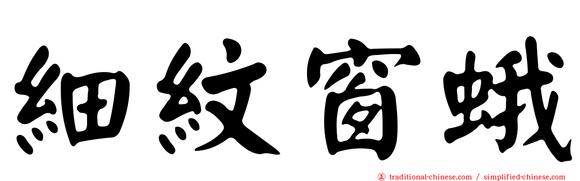 細紋窗蛾